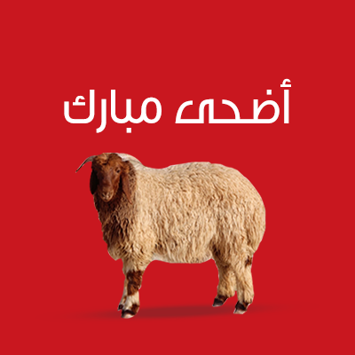 اضحية خروف نعيمي