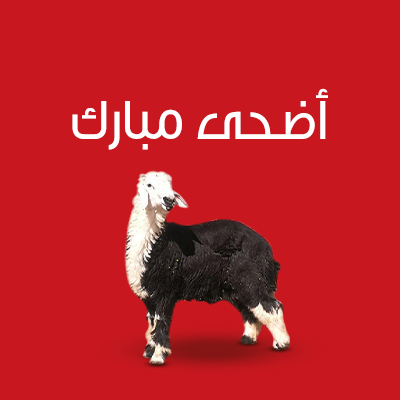 اضحية خروف نجدي